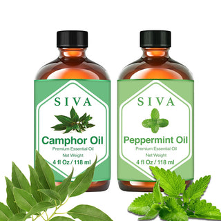 SIVA Camphor and Peppermint Essential Oil - Combo Set Essential Oils