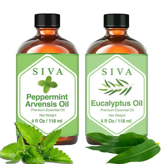 SIVA Peppermint Arvensis and Eucalyptus Essential Oil - Combo Set Essential Oils