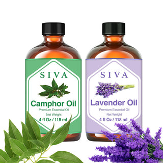 SIVA Camphor and Lavender Essential Oil - Combo Set Essential Oils