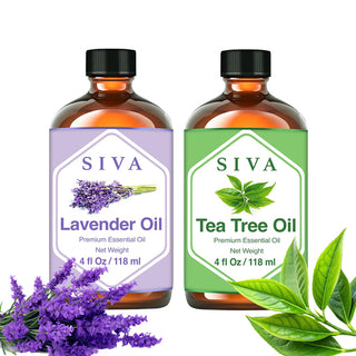 SIVA Lavender and Tea Tree Essential Oil - Combo Set Essential Oils
