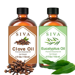 SIVA Clove Bud and Eucalyptus Essential Oil - Combo Set Essential Oils