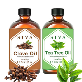 SIVA Clove Bud and Tea Tree Essential Oil - Combo Set Essential Oils