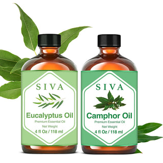 SIVA Eucalyptus and Camphor Essential Oil - Combo Set Essential Oils