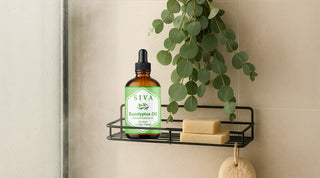 How to Use Eucalyptus Essential Oil in Shower for a Refreshing Aroma