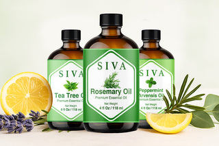 Best Essential Oil Brands in USA in 2025