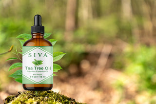Tea Tree Essential Oil Top 10 Frequently Asked Questions