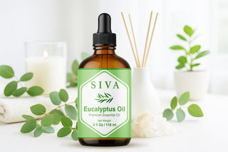Top Eucalyptus Essential Oil Blends for a Refreshing Home Ambience