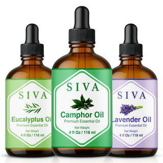 Siva Camphor, Eucalyptus and Lavender Essential Oil 4oz Bundle Super Saver Combo