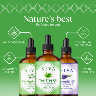 Siva Tea Tree Essential Oil, Lavender Essential Oil & Eucalyptus Essential Oil 4oz Bundle Super Saver Combo