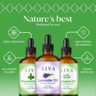 Siva Lavender Essential Oil, Peppermint Essential Oil and Eucalyptus Essential Oil 4oz Bundle Super Saver Combo