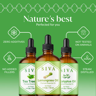 Siva Lemongrass, Tea Tree and Eucalyptus Essential Oil 4oz Bundle Super Saver Combo