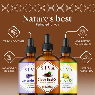 Siva Clove Bud, Lemon and Lavender Essential Oil 4oz Bundle Super Saver Combo