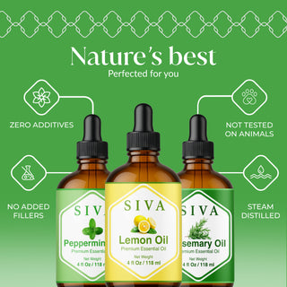 Siva Lemon, Peppermint and Rosemary Essential Oil 4oz Bundle Super Saver Combo