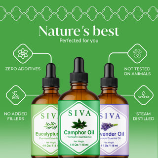 Siva Camphor, Eucalyptus and Lavender Essential Oil 4oz Bundle Super Saver Combo