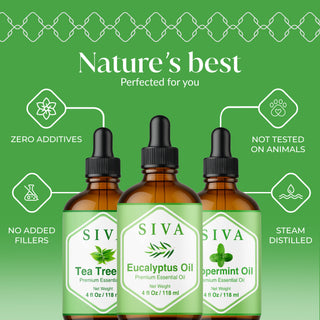 Siva Eucalyptus Essential Oil, Tea Tree Essential Oil and Peppermint Essential Oil 4oz Bundle Super Saver Combo