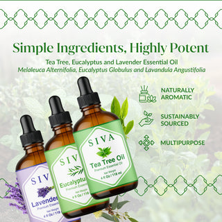 Siva Tea Tree Essential Oil, Lavender Essential Oil & Eucalyptus Essential Oil 4oz Bundle Super Saver Combo