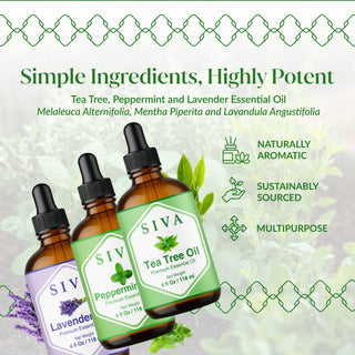 SIVA Tea Tree, Lavender and Peppermint Essential Oil - Combo Set Essential Oils