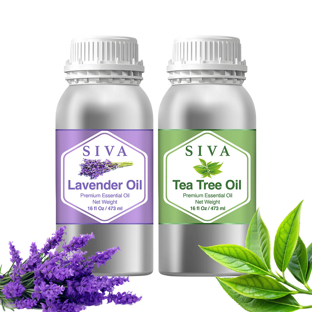 SIVA Lavender and Tea Tree Essential Oil - Combo Set Essential Oils