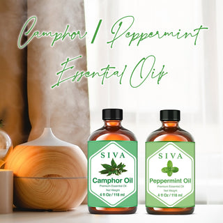 SIVA Camphor and Peppermint Essential Oil - Combo Set Essential Oils