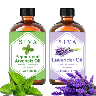 SIVA Peppermint Arvensis and Lavender Essential Oil - Combo Set Essential Oils