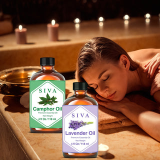SIVA Camphor and Lavender Essential Oil - Combo Set Essential Oils