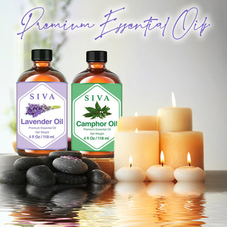 SIVA Camphor and Lavender Essential Oil - Combo Set Essential Oils
