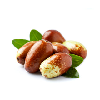 SIVA Jojoba Oil