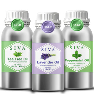 Siva Lavender, Tea Tree & Peppermint Essential Oil 16oz Bundle Super Saver Combo