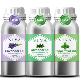 Siva Camphor, Peppermint and Lavender Essential Oil 16oz Bundle Super Saver Combo