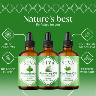 Siva Rosemary, Peppermint and Tea Tree Essential Oil 4oz Bundle Super Saver Combo