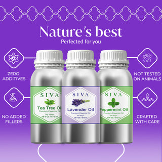 Siva Lavender, Tea Tree & Peppermint Essential Oil 16oz Bundle Super Saver Combo