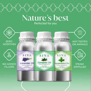 Siva Camphor, Peppermint and Lavender Essential Oil 16oz Bundle Super Saver Combo