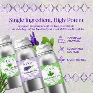 Siva Lavender, Tea Tree & Peppermint Essential Oil 16oz Bundle Super Saver Combo