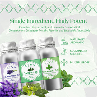 Siva Camphor, Peppermint and Lavender Essential Oil 16oz Bundle Super Saver Combo