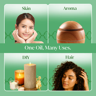 Siva Camphor, Peppermint and Lavender Essential Oil 16oz Bundle Super Saver Combo