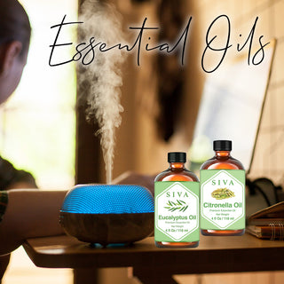 SIVA Eucalyptus and Citronella Essential Oil - Combo Set Essential Oils