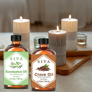 SIVA Clove Bud and Eucalyptus Essential Oil - Combo Set Essential Oils