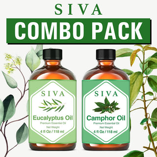 SIVA Eucalyptus and Camphor Essential Oil - Combo Set Essential Oils