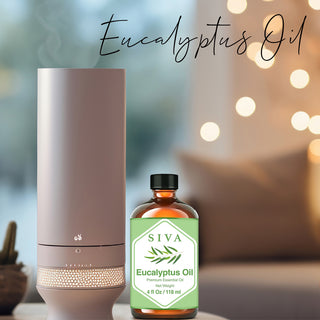 SIVA Eucalyptus and Camphor Essential Oil - Combo Set Essential Oils