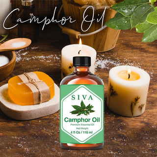 SIVA Eucalyptus and Camphor Essential Oil - Combo Set Essential Oils