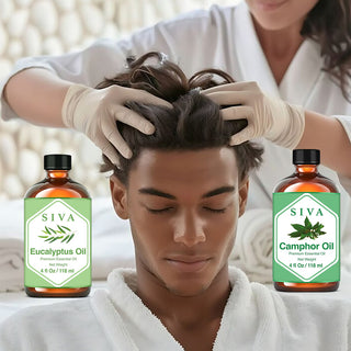 SIVA Eucalyptus and Camphor Essential Oil - Combo Set Essential Oils