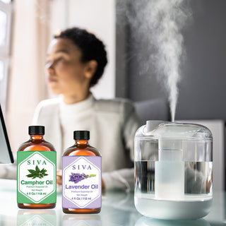 SIVA Camphor and Lavender Essential Oil - Combo Set Essential Oils