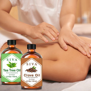 SIVA Clove Bud and Tea Tree Essential Oil - Combo Set Essential Oils